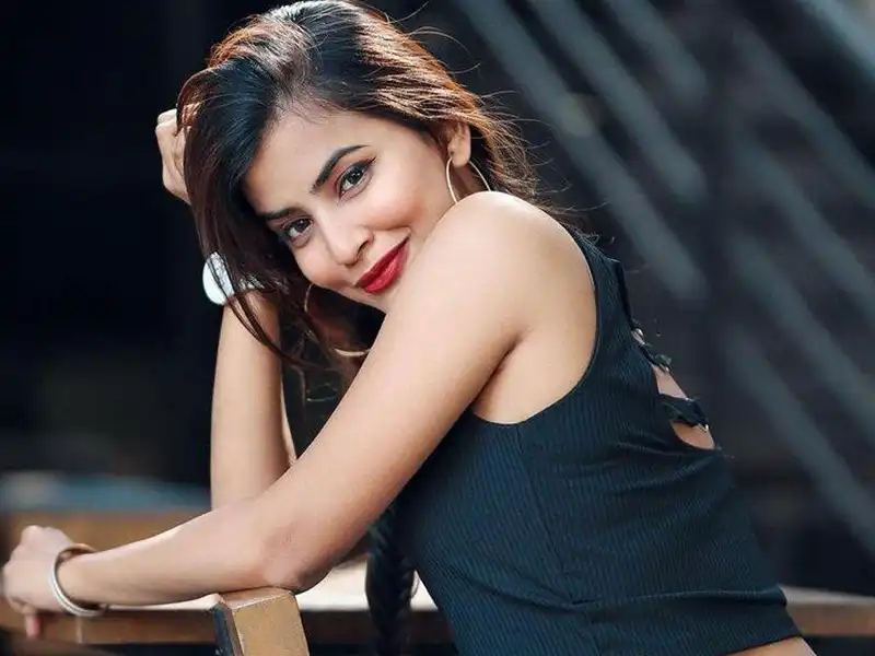 Night Party Call Girls in Udaipur